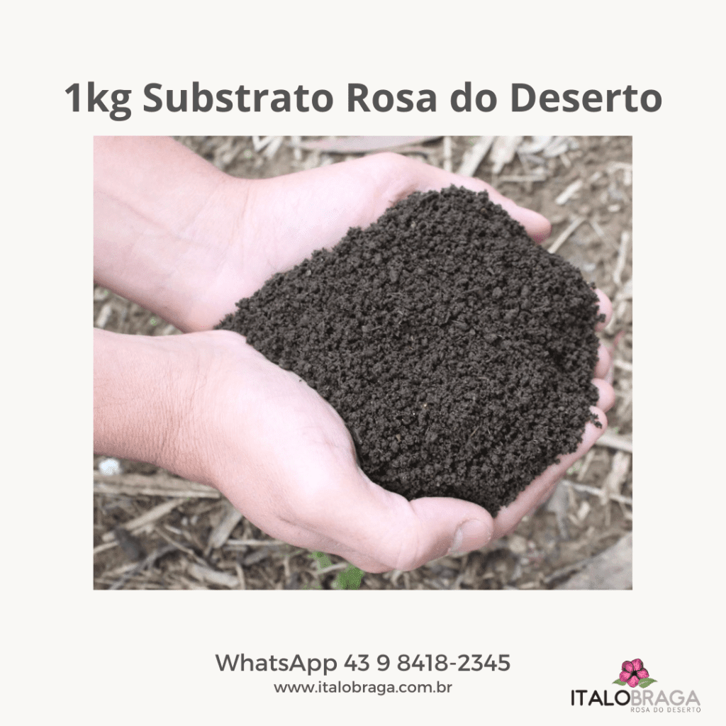 1kg Substrato excelente para Rosa do Deserto Ítalo Braga Rosas do