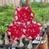 01 Rosa Do Deserto Dobrada Importada PT-14 Red Makeup