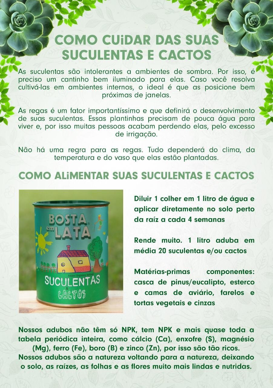 400G Adubo Organico Bosta em Lata Cactos e Suculentas - Ítalo Braga - Rosas  do deserto