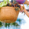 Vaso Cuia De Fibra De Coco Com Suporte e Corrente - MÉDIO - Image 3