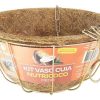 Vaso Cuia De Fibra De Coco com Suporte e Corrente - GIGANTE - Image 2
