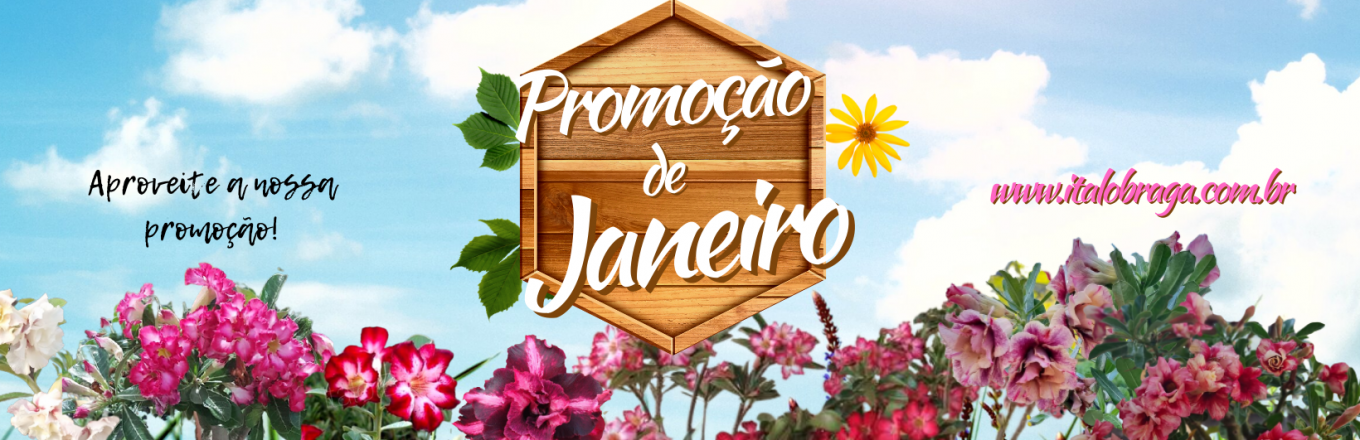 Promoção Janeiro