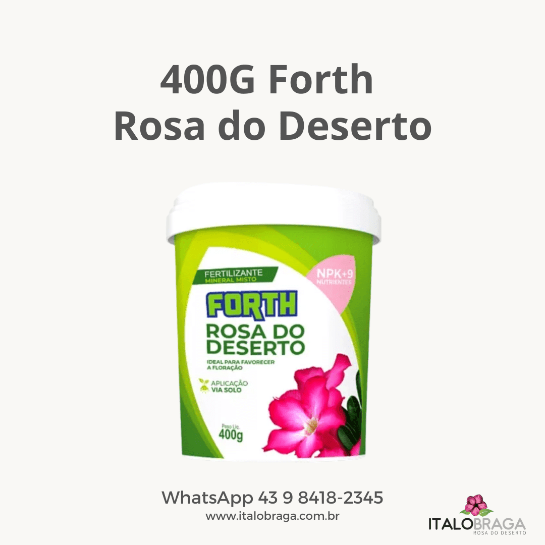 400G Rosa do Deserto para Floração - FORTH - Ítalo Braga - Rosas do deserto