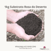 1kg Substrato excelente para Rosa do Deserto