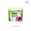 3KG Rosa Do Deserto Floração - FORTH
