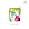 400G Rosa do Deserto para Floração - FORTH