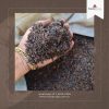 2KG Casca de arroz carbonizada