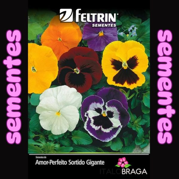 Amor-Perfeito Sortido Gigante - contém 70 miligrama(s) de semente(s)