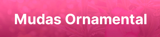 Mudas Ornamental